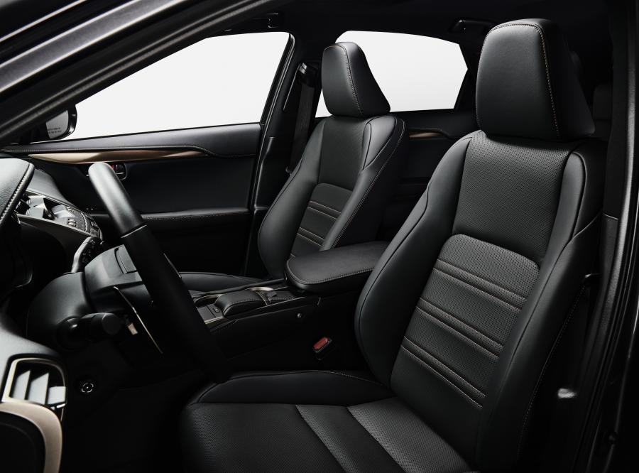 Интерьер Lexus NX300 Black Line 2019 года  (NA) (фото 9 из 9)